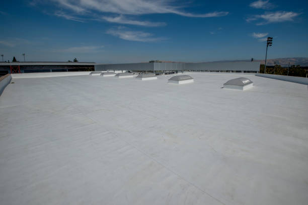 Best Solar Panel Roofing Installation  in Dunlap, IA