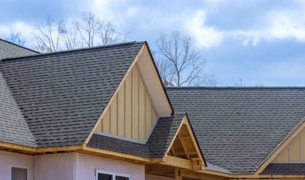 Best Roof Moss and Algae Removal  in Dunlap, IA