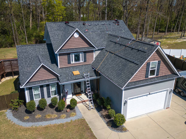 Best Chimney Flashing Repair  in Dunlap, IA